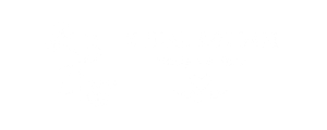 Zuhal Bozdam