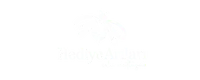 Hediye Arıları
