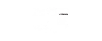 Vidy